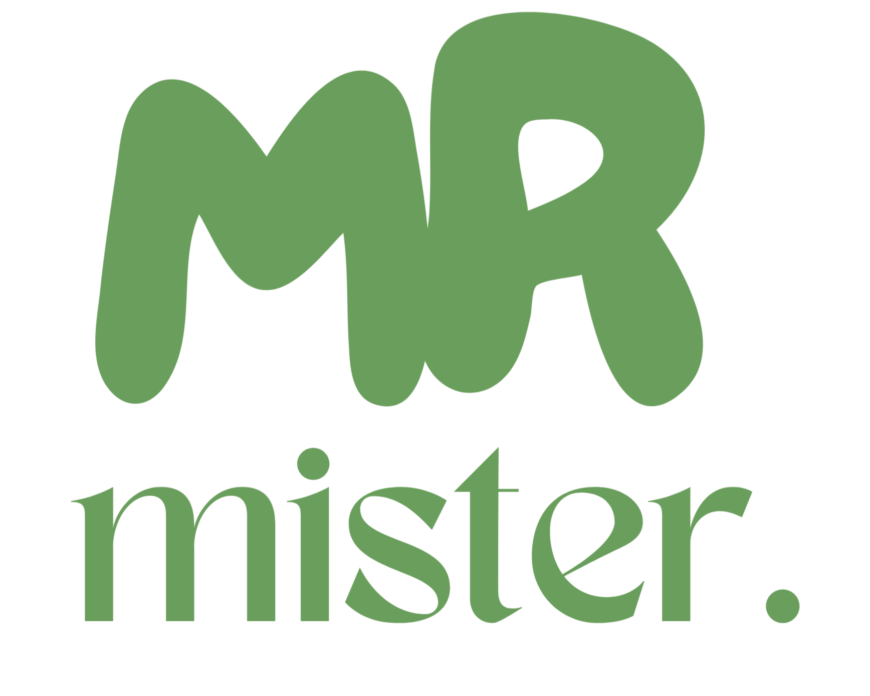 MR mister